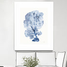 Shibori Coral II by Mary Urban on GIANT ART - blue