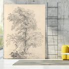 Tree Sketch by Wild Apple Portfolio on GIANT ART - abstract