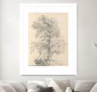 Tree Sketch by Wild Apple Portfolio on GIANT ART - abstract