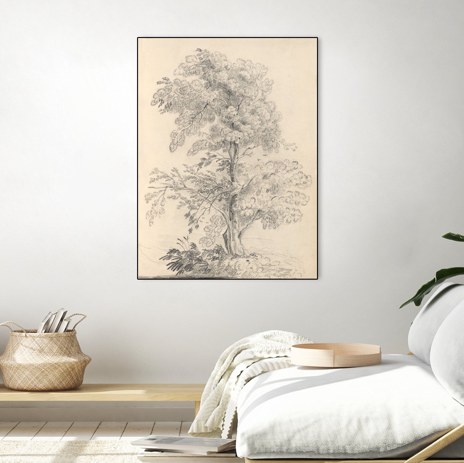 Tree Sketch by Wild Apple Portfolio on GIANT ART - abstract
