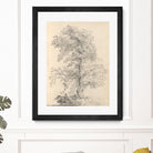 Tree Sketch by Wild Apple Portfolio on GIANT ART - abstract