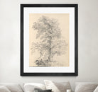 Tree Sketch by Wild Apple Portfolio on GIANT ART - abstract