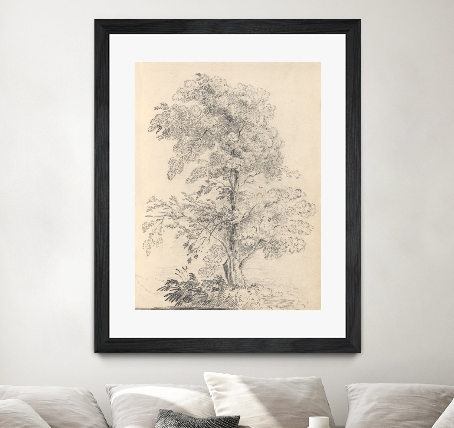 Tree Sketch by Wild Apple Portfolio on GIANT ART - abstract