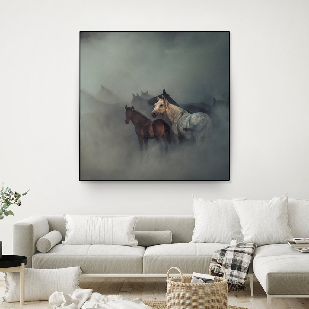 The lost horses by Huseyin on GIANT ART - animals horse