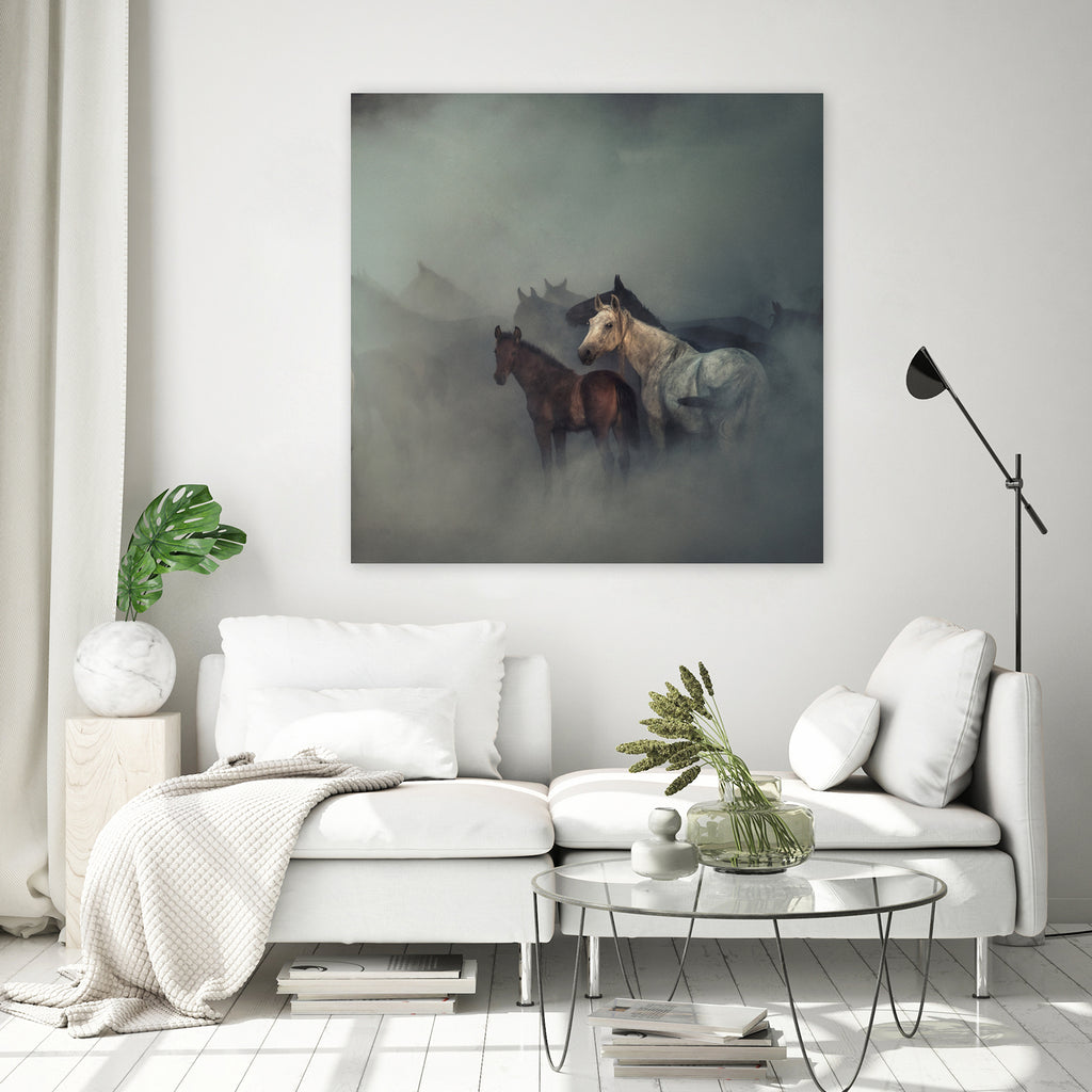 The lost horses by Huseyin on GIANT ART - animals horse