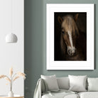 Sapience by Martine on GIANT ART - animals haflinger