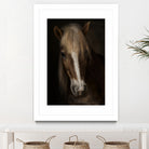 Sapience by Martine on GIANT ART - animals haflinger