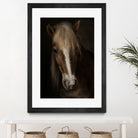 Sapience by Martine on GIANT ART - animals haflinger