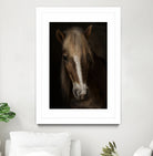 Sapience by Martine on GIANT ART - animals haflinger