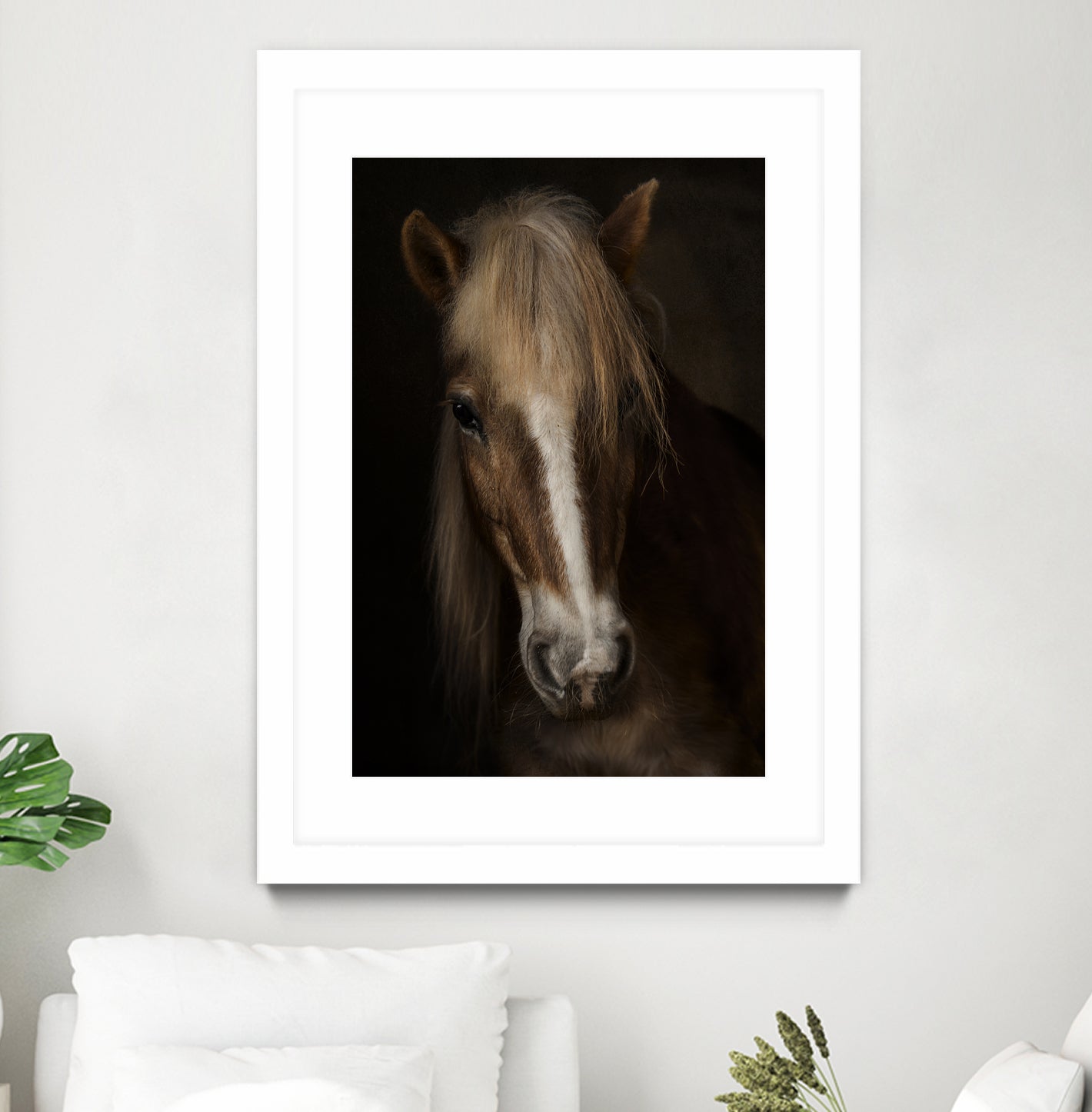 Sapience by Martine on GIANT ART - animals haflinger