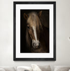 Sapience by Martine on GIANT ART - animals haflinger