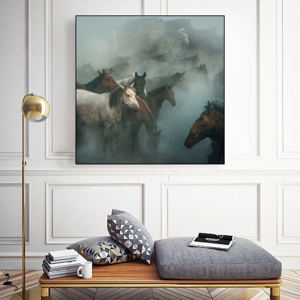 lost horses by Huseyin on GIANT ART - animals horses