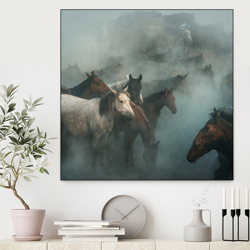 lost horses by Huseyin on GIANT ART - animals horses