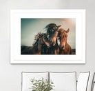 Family portrait by Marcus Hennen on GIANT ART - friendship animal friendship