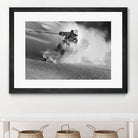 Go for it  by Sandi on GIANT ART - black and white  photography