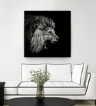 Roaring Lion #2 by Christian Meermann on GIANT ART - feline animal feline