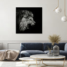 Roaring Lion #2 by Christian Meermann on GIANT ART - feline animal feline