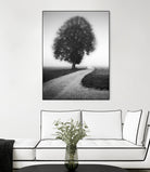 Poet by Alexej Schulz on GIANT ART - landscape lonely tree