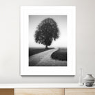 Poet by Alexej Schulz on GIANT ART - landscape lonely tree