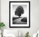 Poet by Alexej Schulz on GIANT ART - landscape lonely tree