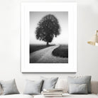 Poet by Alexej Schulz on GIANT ART - landscape lonely tree