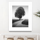 Poet by Alexej Schulz on GIANT ART - landscape lonely tree