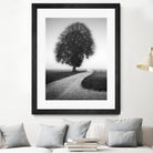 Poet by Alexej Schulz on GIANT ART - landscape lonely tree