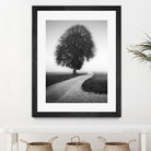 Poet by Alexej Schulz on GIANT ART - landscape lonely tree