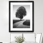 Poet by Alexej Schulz on GIANT ART - landscape lonely tree