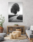 Poet by Alexej Schulz on GIANT ART - landscape lonely tree