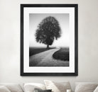 Poet by Alexej Schulz on GIANT ART - landscape lonely tree