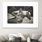 Off to the Races by JAE on GIANT ART - photography portrait