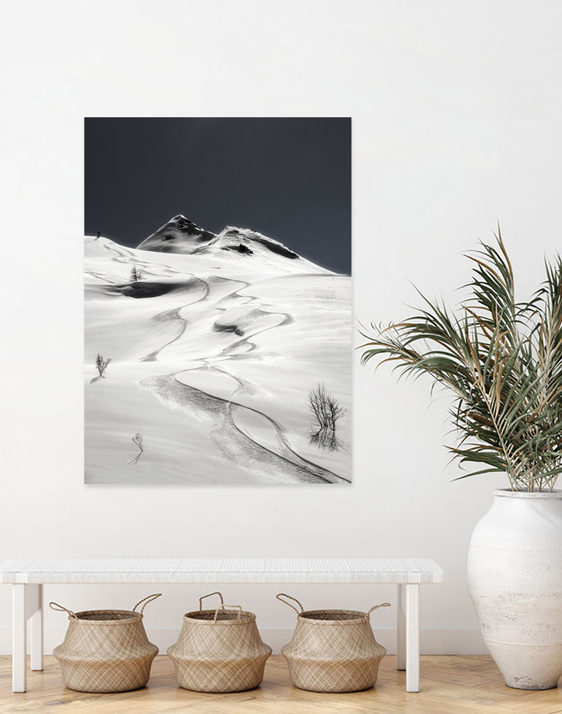 freeride by Uschi on GIANT ART - photography snow
