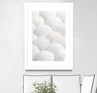 Shells_3 by Pictufy Studio III on GIANT ART - photography shells