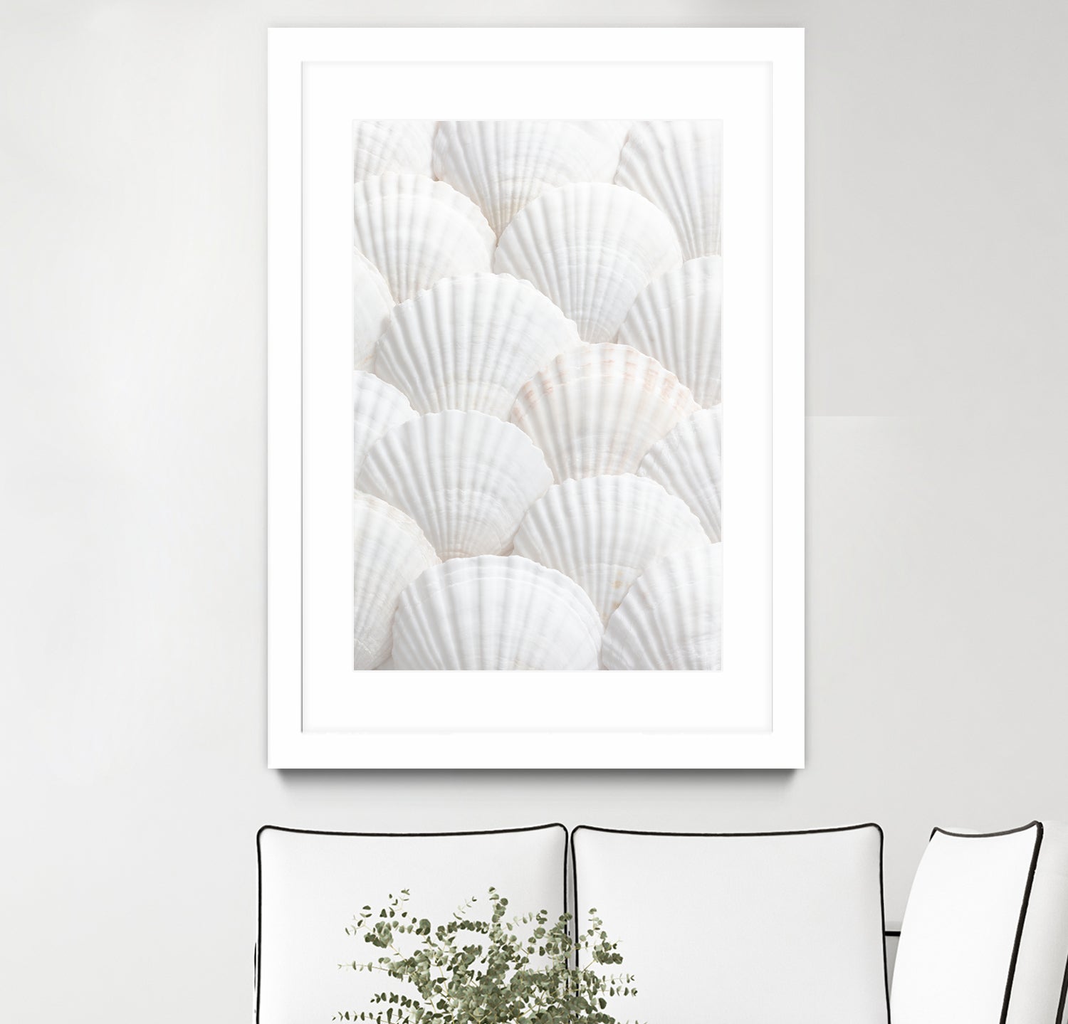 Shells_3 by Pictufy Studio III on GIANT ART - photography shells