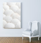 Shells_3 by Pictufy Studio III on GIANT ART - photography shells