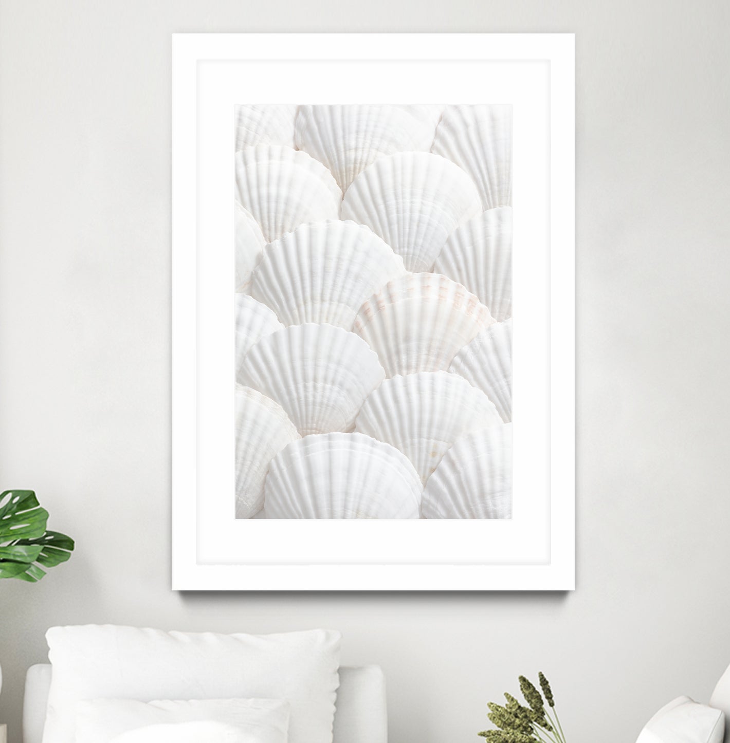 Shells_3 by Pictufy Studio III on GIANT ART - photography shells