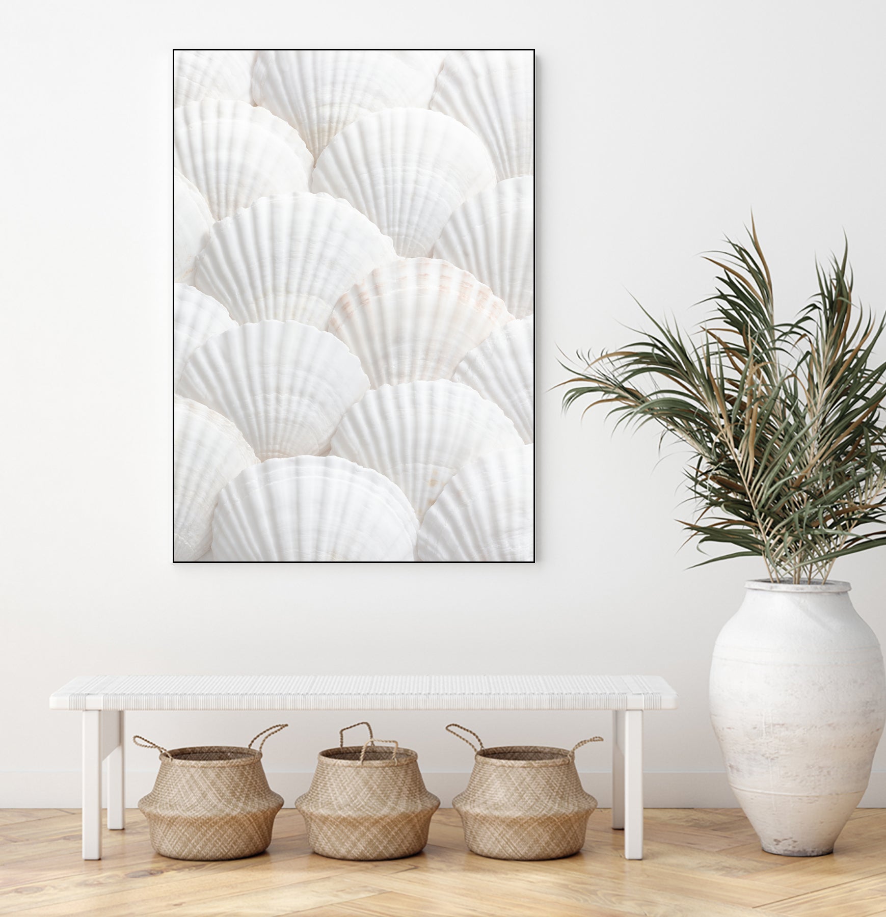 Shells_3 by Pictufy Studio III on GIANT ART - photography shells