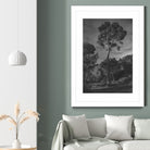 Arbores  by Pepa on GIANT ART - black botanical framed canvas