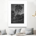 Arbores  by Pepa on GIANT ART - black botanical framed canvas