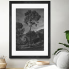 Arbores  by Pepa on GIANT ART - black botanical framed canvas