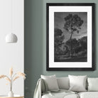 Arbores  by Pepa on GIANT ART - black botanical framed canvas