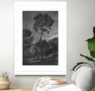 Arbores  by Pepa on GIANT ART - black botanical framed canvas