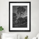 Arbores  by Pepa on GIANT ART - black botanical framed canvas