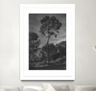 Arbores  by Pepa on GIANT ART - black botanical framed canvas
