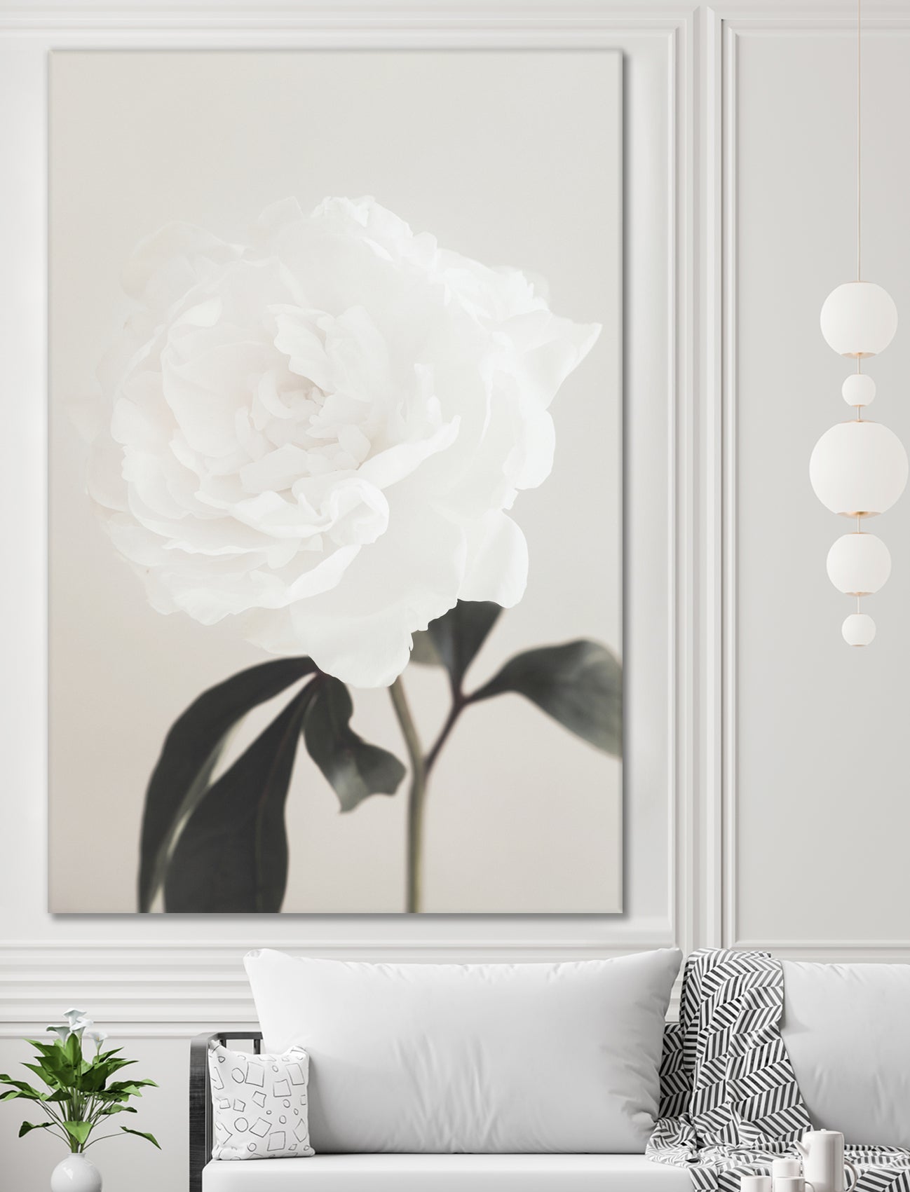 Peony 03 by Pictufy Studio III on GIANT ART - still life flower