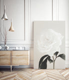 Peony 03 by Pictufy Studio III on GIANT ART - still life flower