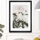 Peony 04 by Pictufy on GIANT ART - still life flower