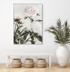 Peony 04 by Pictufy on GIANT ART - still life flower