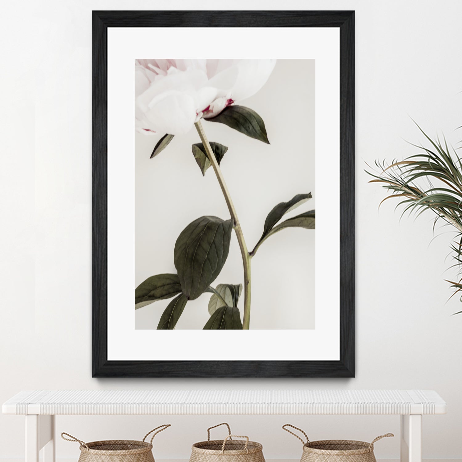 Peony 09 by Pictufy on GIANT ART - still life flower